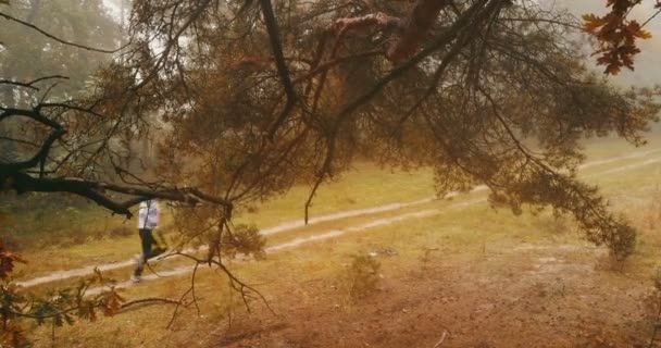 Bir Çakıl Ülke Yolda Çalışan Bir Sisli Sabahı Hava Runner — Stok video