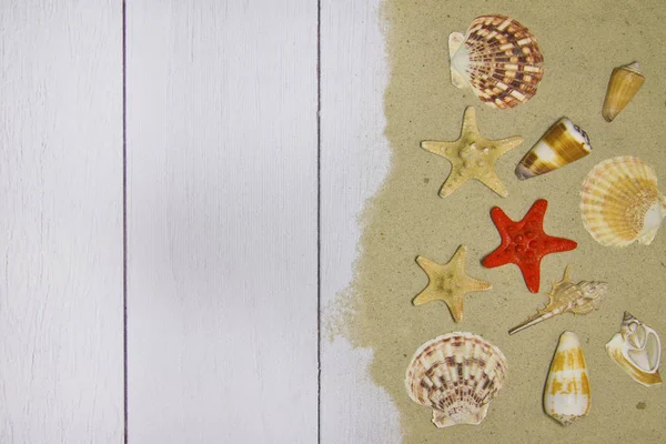 Sea shells, stars, on a light wooden background with sand, top view — Stock Photo, Image