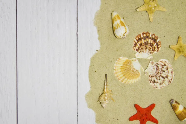 Conchiglie, stelle, su uno sfondo di legno chiaro con sabbia, vista dall'alto — Foto Stock