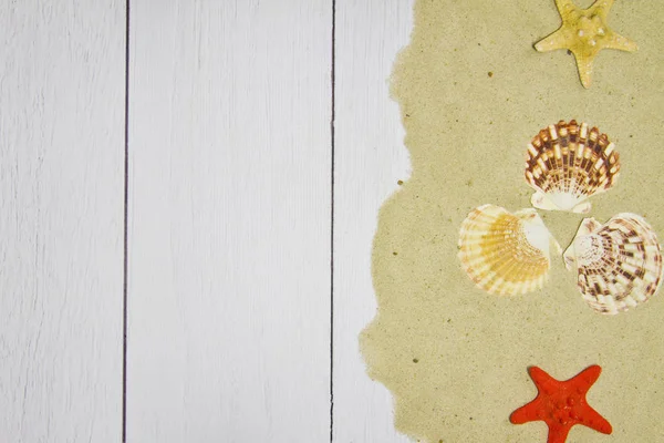 Sea shells, stars, on a light wooden background with sand, top view — Stock Photo, Image