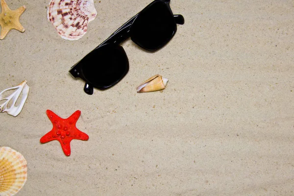 Літня композиція. Сонцезахисні окуляри, черепашки, морська червона зірка, човен на пастельному жовтому тлі. Мінімальна концепція. Плоский простір, вид зверху, простір для копіювання — стокове фото