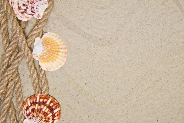 Літня плоска композиція з черепашками, мотузкою, піщаним пляжем та місцем для тексту на піщаному фоні — стокове фото