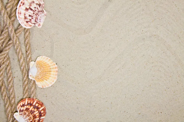 Літня плоска композиція з черепашками, мотузкою, піщаним пляжем та місцем для тексту на піщаному фоні — стокове фото