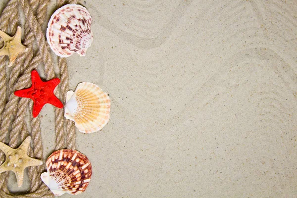 Nyári lakás összetétele tengeri kagylókkal, kötéllel, homokos stranddal és teret a szöveg a homokos háttér — Stock Fotó