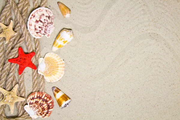 Estate composizione piatta con conchiglie, corda, spiaggia di sabbia e spazio per testo su sfondo sabbioso — Foto Stock