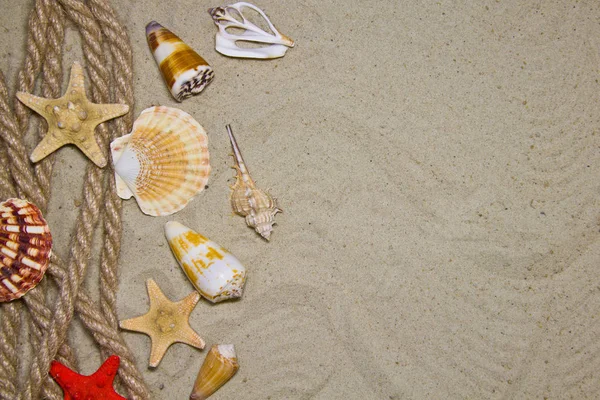 Summer flat composition with seashells, rope, sand beach and space for text on sandy background — Stock Photo, Image