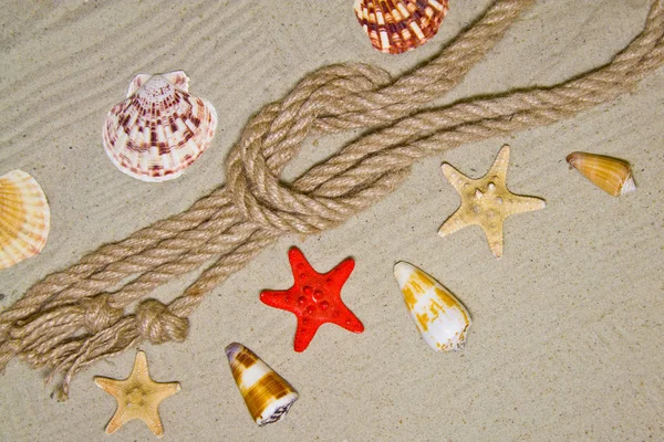 Tengeri kagylókból és tengeri kötél dekoráció homok háttérrel, piros játék hajó — Stock Fotó
