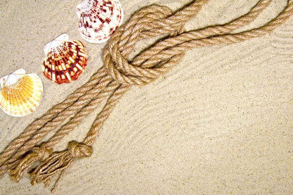 Seashells and nautical rope decoration on sand background with red toy ship