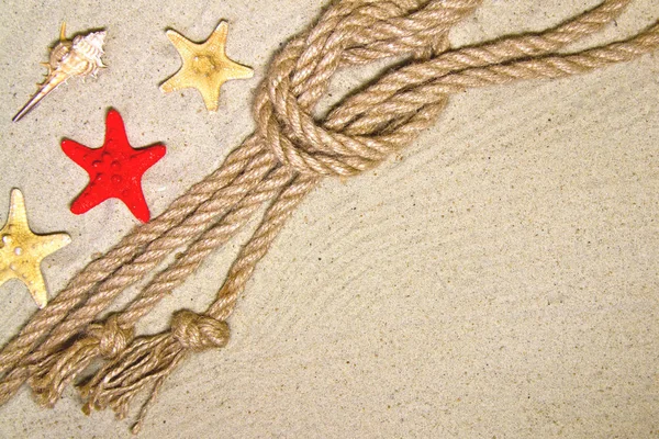 Seashells and nautical rope decoration on sand background with red toy ship