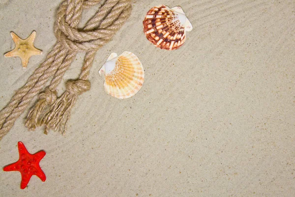 Морські черепашки та прикраси з морської мотузки на піщаному фоні з червоним іграшковим кораблем — стокове фото