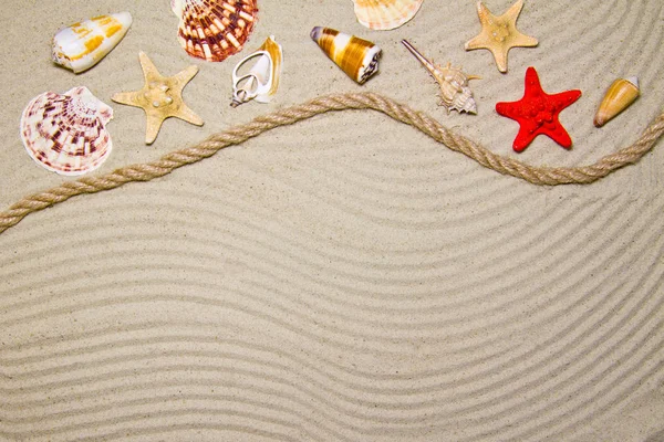 Summer flat composition with seashells, rope, sand beach and space for text on sandy background — Stock Photo, Image