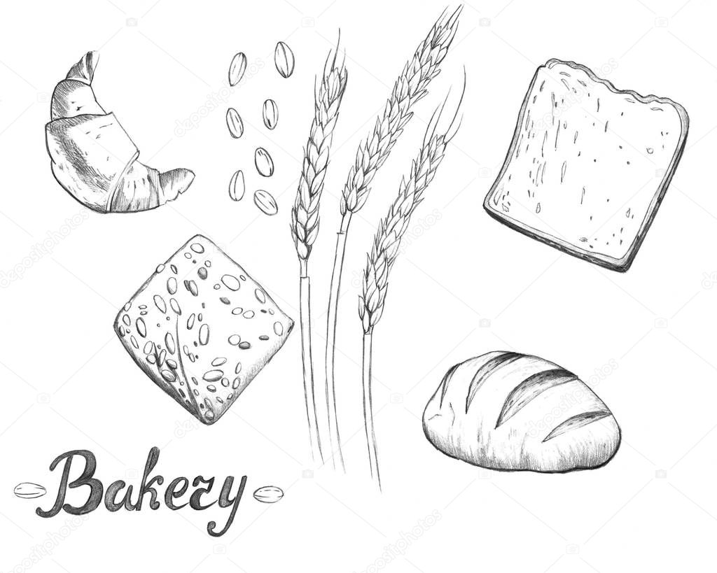 A set of hand-drawn bread, croissants, ears of rye. Pencil drawing. Grains. Handwritten inscription. Bakery
