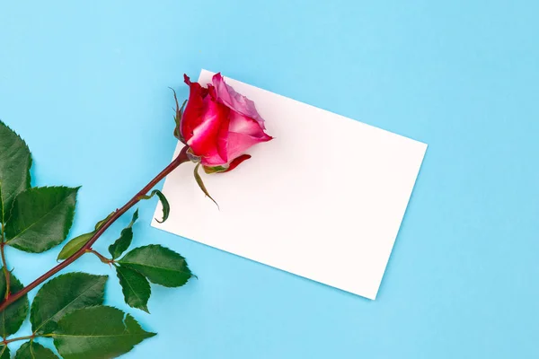 Mockup with card and roses — Stock Photo, Image