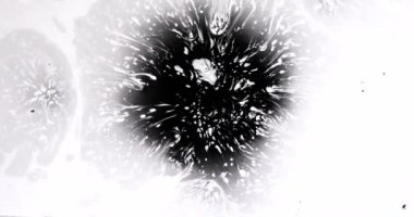 Saflık siyah işgali. Beyaz kağıt üzerinde siyah mürekkep bir damla düşer ve içinden bir lekeleri ile çok güzel bir nokta oluşturma akar. 120 fps hızında filme