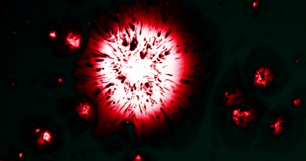 黑暗中的一滴光 清除下落在一个深红色表面和创造一个移动的污点不是普通的颜色和形状 — 图库视频影像