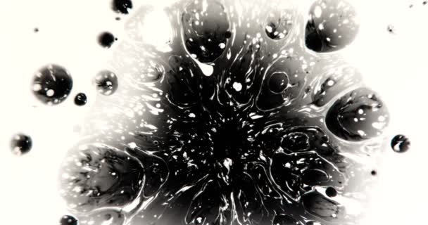 Des Gouttes Encre Noire Sur Blanc Une Goutte Encre Noire — Video