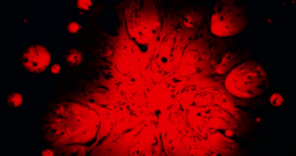 致病性病毒的发展 一滴红色的墨水滴在黑色的纸上 并蔓延到它 创造一个很好的斑点与污点 以120Fps 的速度拍摄的 — 图库视频影像