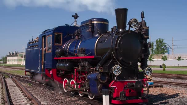 蒸汽机车在壁板上 旧的操作蒸汽机车在一个狭窄的标尺 — 图库视频影像