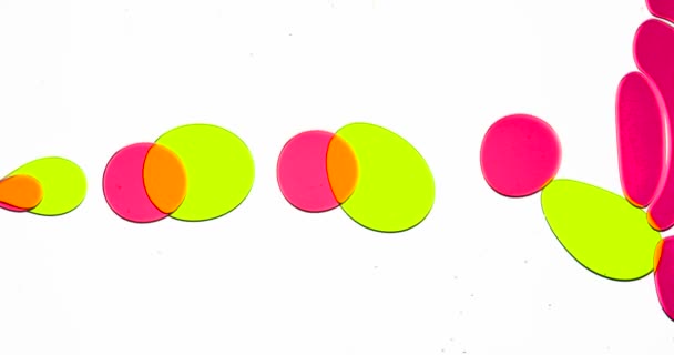 Прогрессивное Движение Ярких Пузырей Яркие Цветные Пузыри Медленно Перемещаются Вокруг — стоковое видео