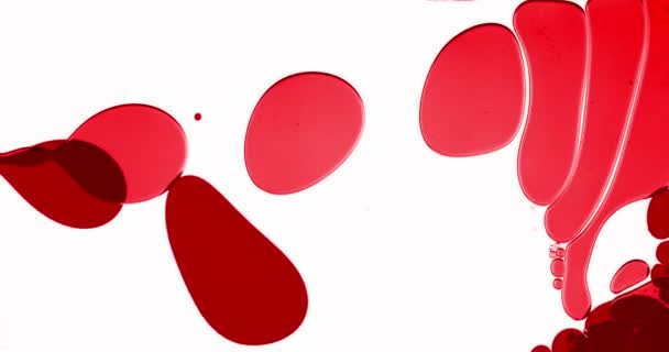 血液解析研究室で 明るい赤泡が白い背景に対して ゆっくり血液細胞に類似しました 顕微鏡の模倣 — ストック動画