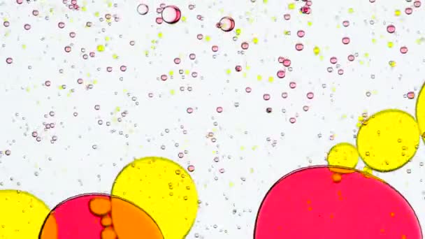 物质中的物理过程 明亮的彩色气泡在白色背景上慢慢移动 改变它们的大小和形状 — 图库视频影像