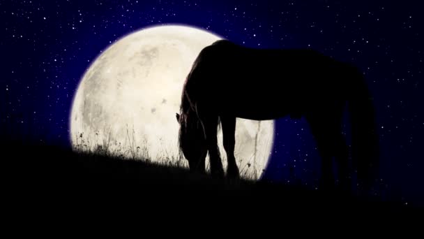 Dark Horse Silhouette Slowly Grazes Starry Sky Rising Moon — Stock Video