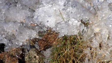 Bir kayaya hızlı dağ nehir ortasında donmuş su. Ağır çekim 240 fps hızında