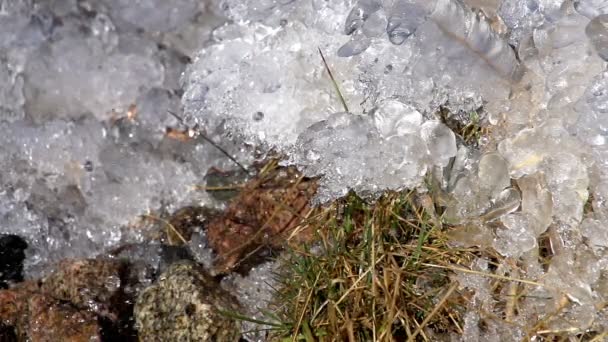 冻结的水快速山区河流在一块岩石上 慢动作 240 秒的速度 — 图库视频影像