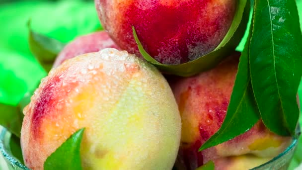 Ripe Peaches Green Leaves Close Rotate Front Camera — Stock Video