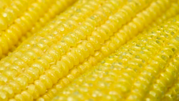Dojrzałe Kolby Kukurydzy Pokryte Kroplami Wody Powoli Obracają Się Przed — Wideo stockowe