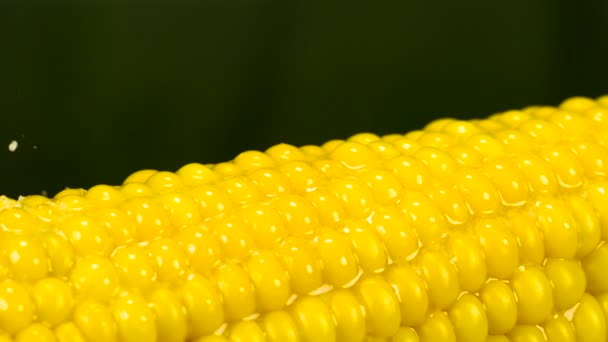 Зерна Соли Медленно Падают Горячую Кукурузу Смазанную Маслом Съемки Скорости — стоковое видео