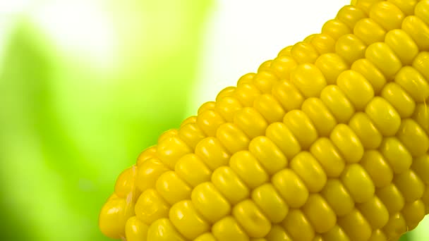 Piece Butter Strung Fork Slowly Moves Surface Hot Corn Leaving — Stock Video