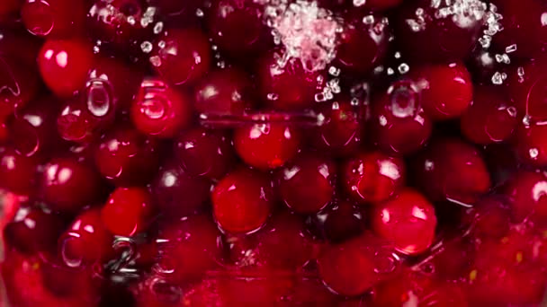 Las Bayas Rojas Cubiertas Azúcar Convierten Lentamente Mousse Cowberry — Vídeo de stock
