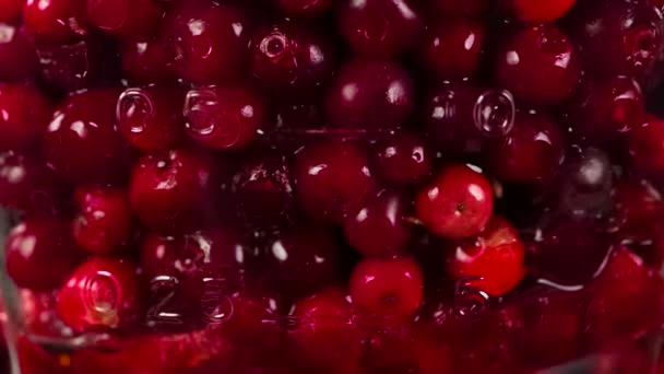 明亮的红色浆果慢慢沉淀 变成果肉汁 — 图库视频影像