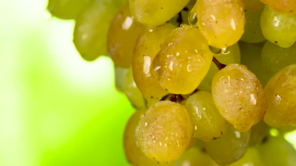 透明な水滴で覆われた緑のブドウの束は カメラの前でゆっくりと回転します — ストック動画