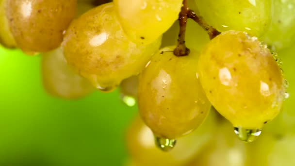 Une Grappe Raisins Verts Recouverte Gouttelettes Eau Transparentes Tourne Lentement — Video