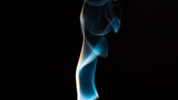 Thin Stream Smoke Curls Bizarre Shapes Fills Space Filmed Speed — Stock Video