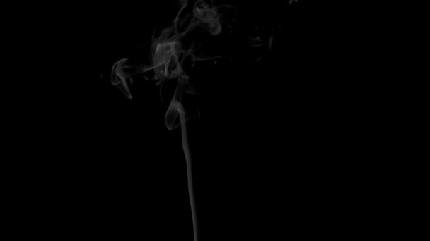 Pomalé Bílý Kouř Stoupá Líně Černém Pozadí Natočeno Rychlostí 240 — Stock video