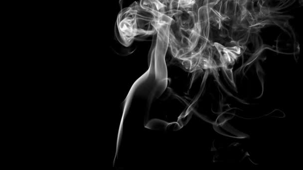 White Clearly Expressed Smoke Slowly Rises Bottom Screen Forms Elegant — Stock Video