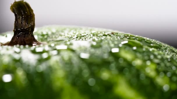 Die Schärfentiefe Bewegt Sich Sanft Über Die Oberfläche Der Wassermelone — Stockvideo