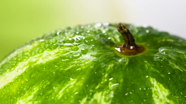 Sandía Está Abundantemente Cubierta Con Gotas Brillantes Agua Desde Arriba — Vídeo de stock