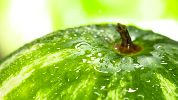 西瓜上覆盖着大量闪亮的水滴 从上面 水滴落在上面 造成飞溅 以240Fps 的速度拍摄 — 图库视频影像