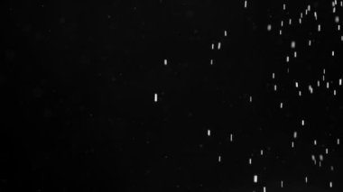 İnce beyaz parçacıklar siyah bir arka plan karşı havada yavaş yavaş ve düzensizce uçmak. Ağır çekim 240 fps hızında