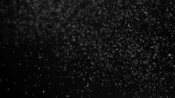 细细的白色粒子在黑色背景下缓慢而混乱地在空气中翱翔 240 Fps 的速度缓慢运动 — 图库视频影像