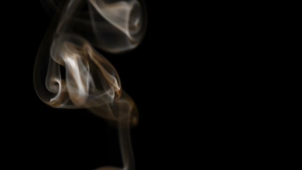 Natural Colorful Smoke Rises Spins Graceful Spirals Filmed Speed 240Fps — Stock Video