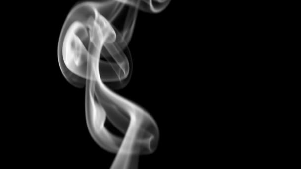 White Clearly Expressed Smoke Slowly Rises Bottom Screen Forms Elegant — Stock Video