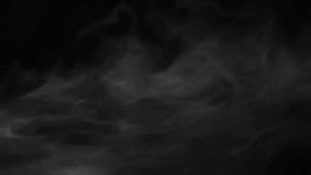 ゆっくりと黒い背景に浮かんでいる幽霊のような白い霧のスクラップ 240 Fps の速度で運動します — ストック動画