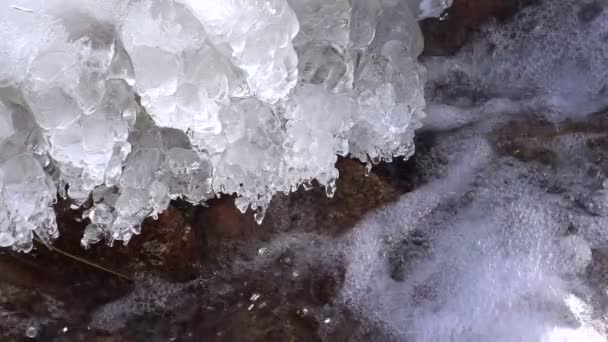 Agua Congelada Una Roca Medio Río Montaña Rápida Moción Lenta — Vídeo de stock