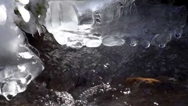 Agua Congelada Una Roca Medio Río Montaña Rápida Moción Lenta — Vídeo de stock