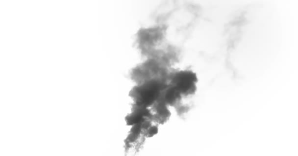 Fekete Füst Emelkedik Egy Nagy Égő Tárgyból Ideális Égetett Berendezések — Stock videók